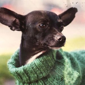 Meet your Posher, Heather